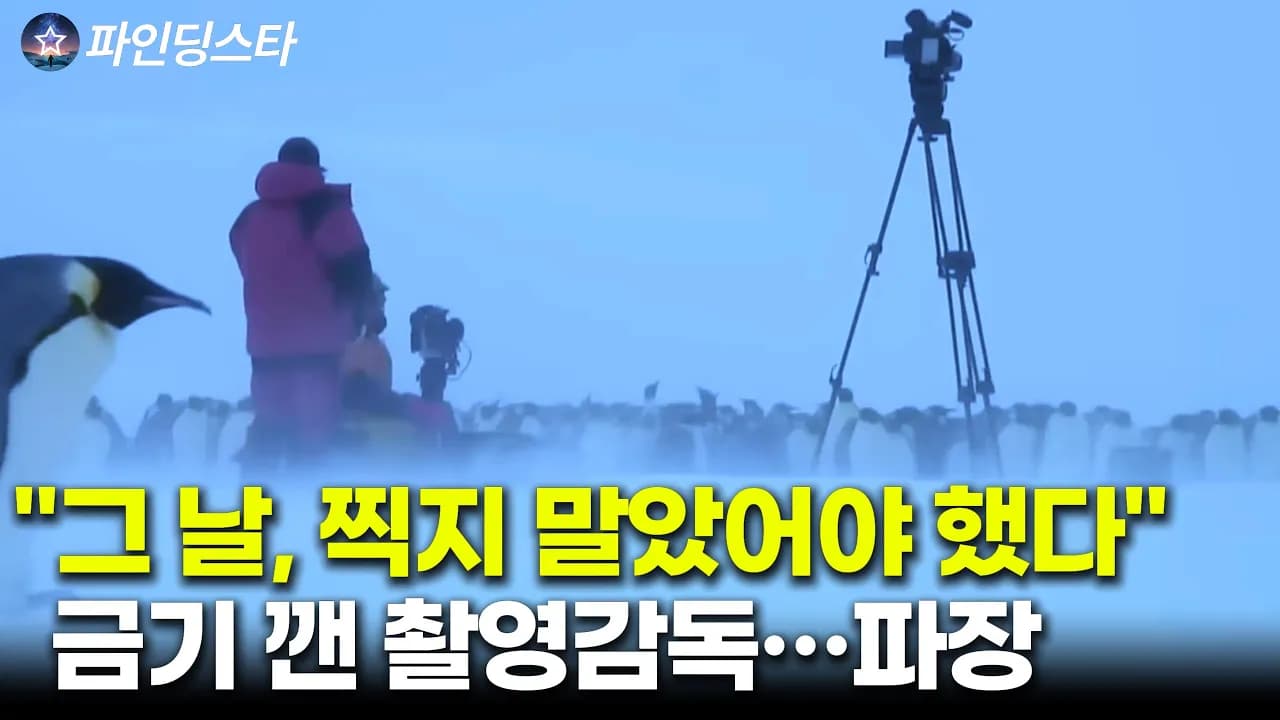 펭귄과의 특별한 순간